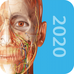 2025人體解剖學圖譜正式版