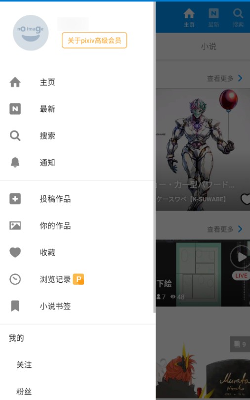 pixiv高級版