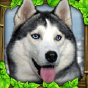 流浪狗模擬器(Stray Dog Simulator)