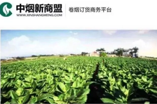 新商盟免费安卓版手机下载
