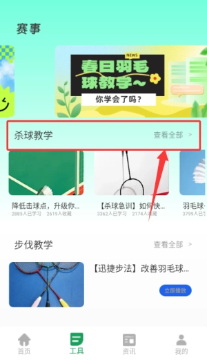 球搭子软件下载