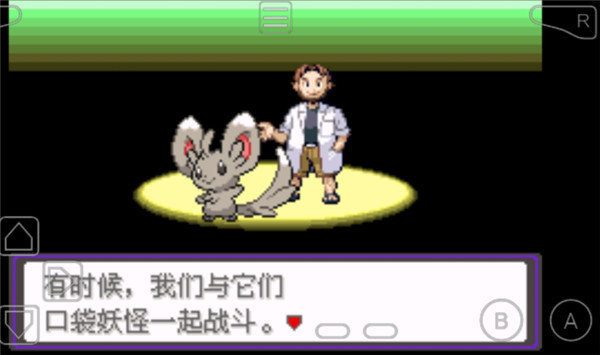 口袋妖怪：漆黑的魅影截圖2