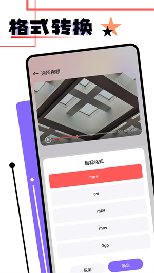 音范絲4K電視版截圖1