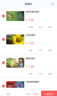 爱智慧岛截图1