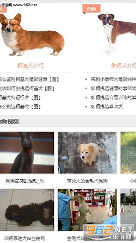 淘狗網(wǎng)截圖4