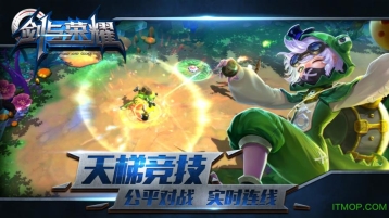剑与荣耀截图2