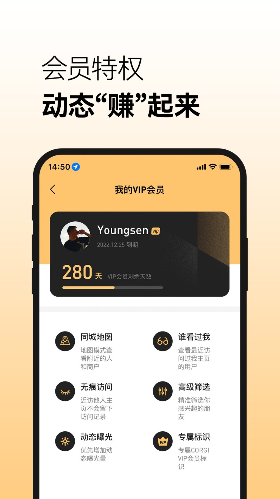 corgi软件截图1