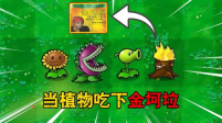 植物大戰(zhàn)僵尸金坷垃版截圖2