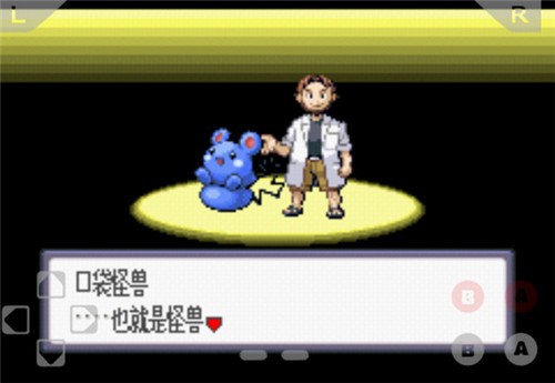 口袋妖怪蓝宝石截图2