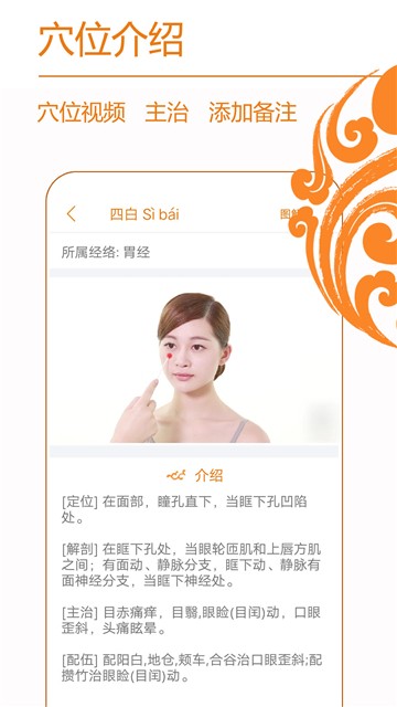 经络养生截图2