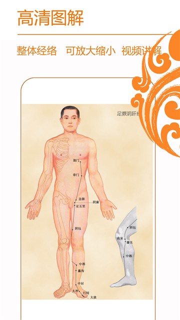 经络养生截图3