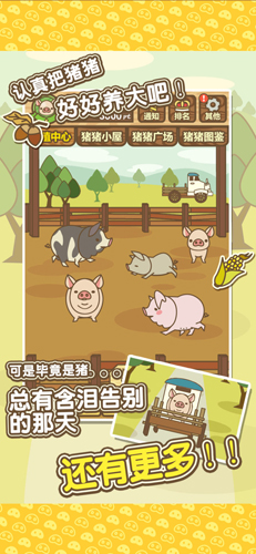 养猪场mix截图1