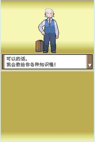 口袋妖怪白金漢化版截圖2