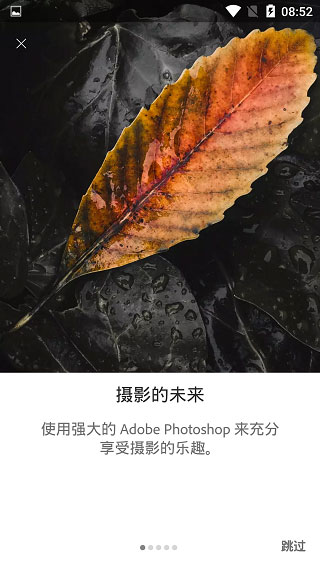 Lightroom免費(fèi)版截圖1