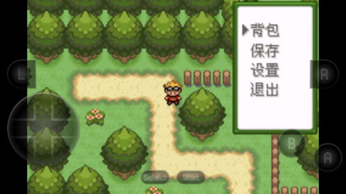 口袋妖怪釉色截圖1