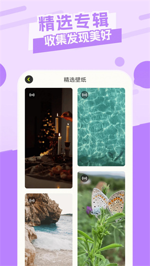 主題庫pro仿蘋果截圖1