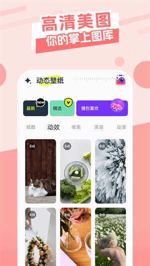 主題庫pro仿蘋果截圖2