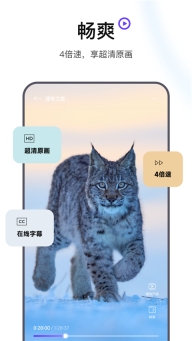 迅雷瀏覽器舊版截圖2