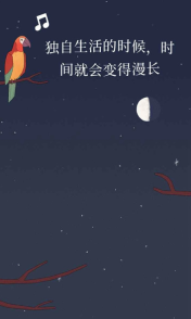 BirdAlone截图0