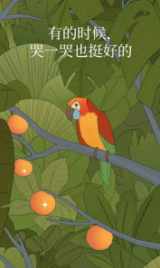BirdAlone截图3