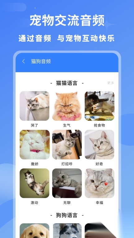 小白交流翻译截图0
