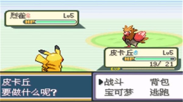 口袋妖怪圣灰截图0