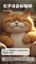 他她它截图2