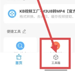 雪豹速清大师