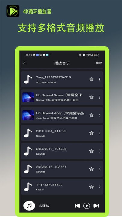 4K循环播放器截图1