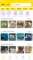 悦动表情包