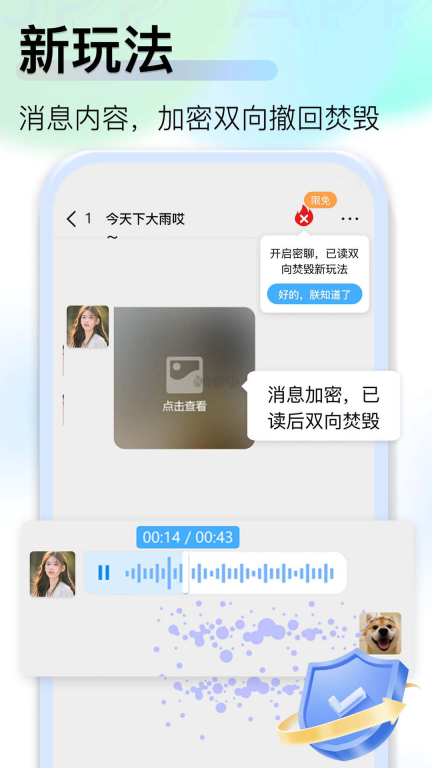 jspp正版