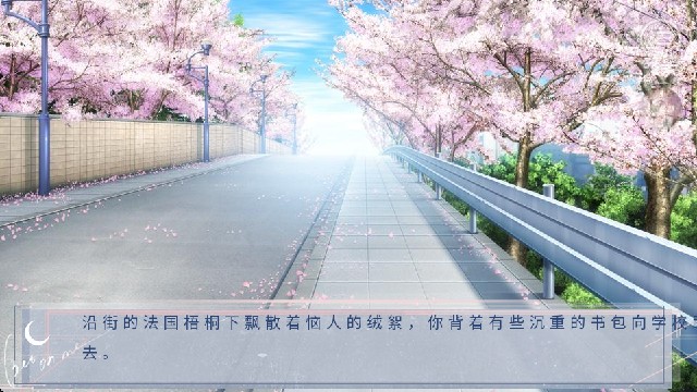 心动收藏家