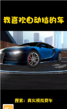 真实模拟赛车(驾驶游戏)截图0