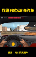 真实模拟赛车(驾驶游戏)截图2