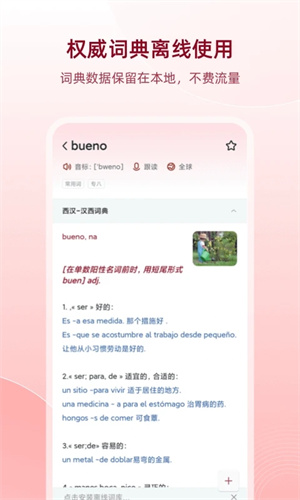 西语助手在线词典手机版截图0