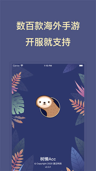 樹懶Acc外服加速器無需OBB授權(quán)版截圖1