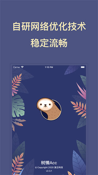樹懶Acc外服加速器無需OBB授權(quán)版截圖2