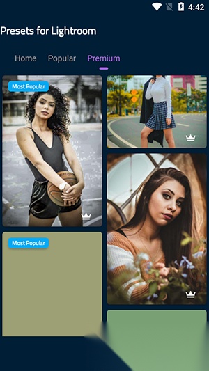 LrPresets截图3