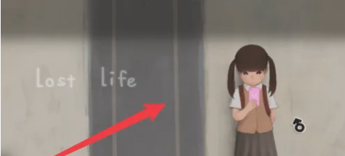 lost life