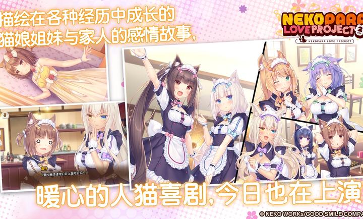 猫娘乐园2截图2