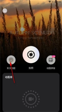 實(shí)況live動(dòng)圖相機(jī)截圖1