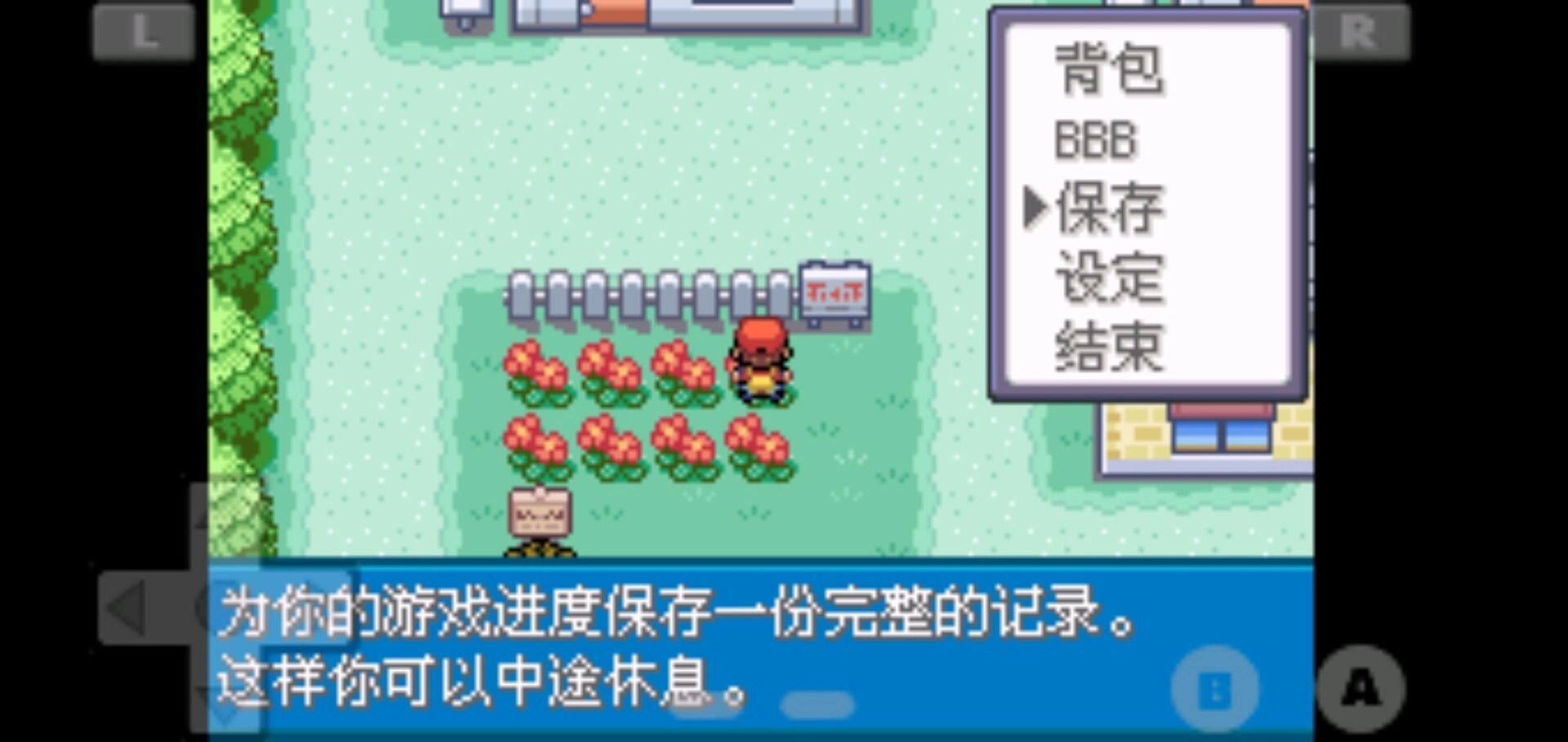 口袋妖怪火红全随机版截图2