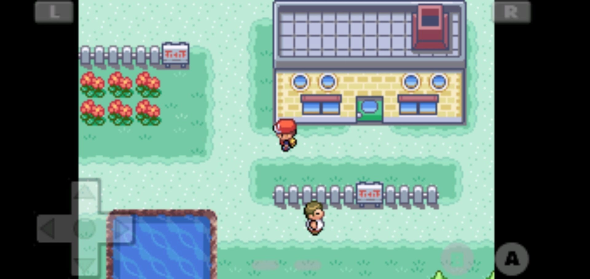 口袋妖怪火红全随机版截图1