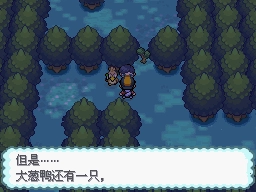 口袋妖怪心金截圖0