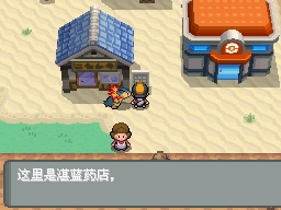 口袋妖怪心金截圖1