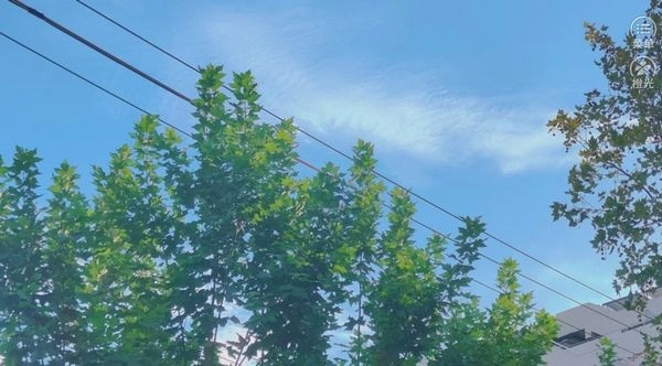 你是女巫嗎手機版截圖1