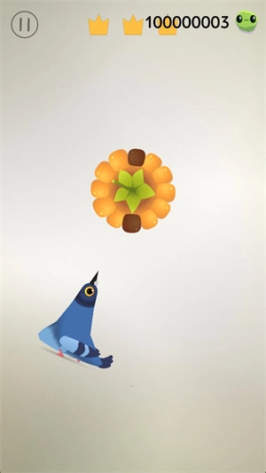 瘋狂的鴿子中文版截圖0