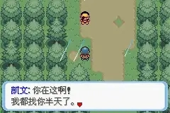 宝可梦命运红宝石3生命守护者截图0