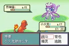 宝可梦命运红宝石3生命守护者截图2