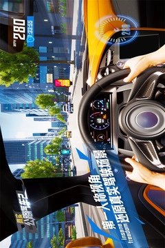 真實公路汽車2截圖1